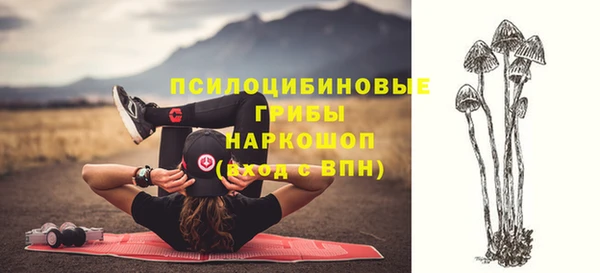 круглые Алексеевка