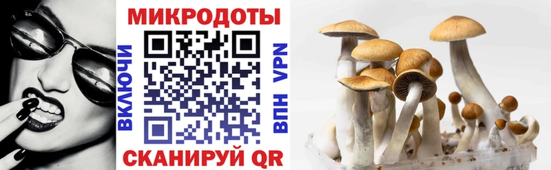 Галлюциногенные грибы Magic Shrooms  купить наркотик  Ардон 
